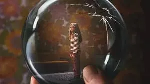 Liebes Kind 1. Sezon 6. Bölüm (Türkçe Dublaj) izle