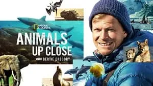 Animals Up Close with Bertie Gregory 1. Sezon 6. Bölüm izle