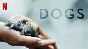 Dogs 2. Sezon 2. Bölüm izle