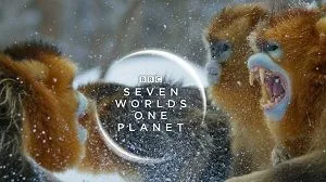 Seven Worlds, One Planet 1. Sezon 3. Bölüm (Türkçe Dublaj) izle